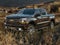 2020 Chevrolet Silverado 1500 4WD Crew Cab Short Bed LT Trail Boss